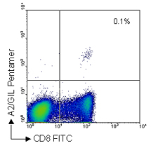 Example Pro5® Pentamer staining data