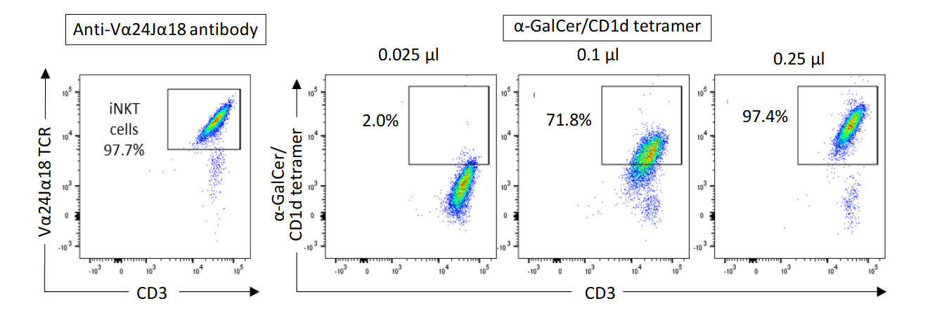 CD1d tetramer staining