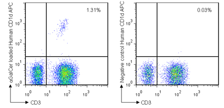 Example data for human CD1d tetramer