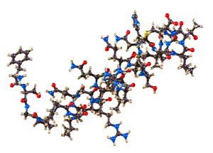 orexin