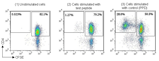 Example staining data from naïve T cell proliferation assay