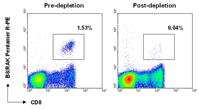 Example data from an experiment using biotin bead depletion