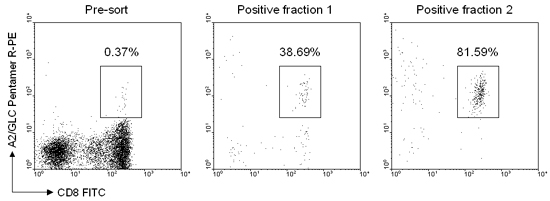 Example data from experiment using column-based method of magnetic separation