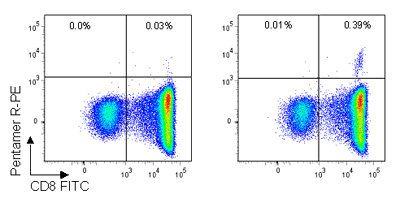 Pro5® Pentamer staining of live lymphocytes