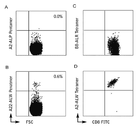 ProVE® Pentamer staining of PBMCs from a TCD alloSCT patient